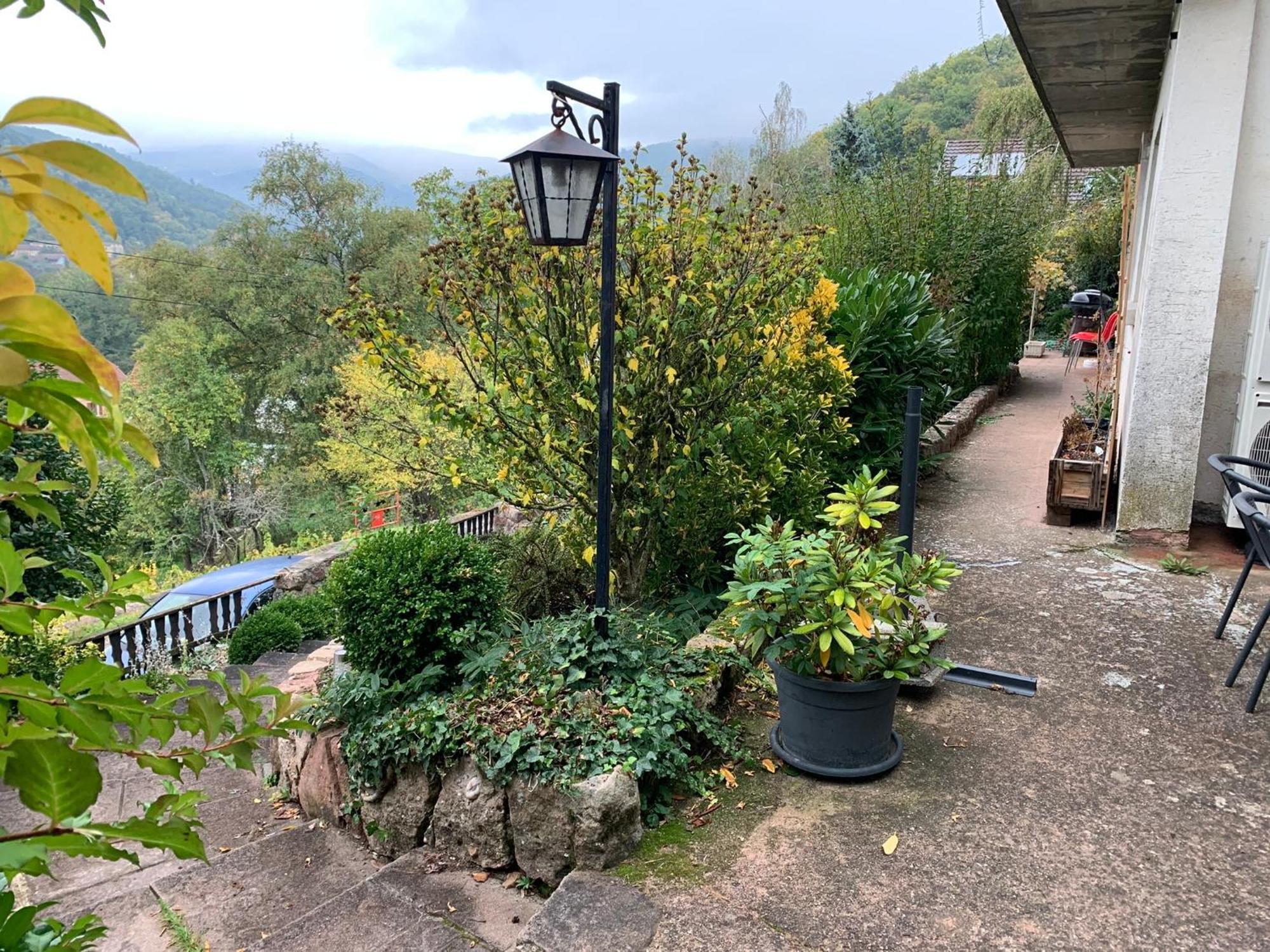Ferienwohnung Au Reposoir - Vue Sur La Montagne Buhl Exterior foto