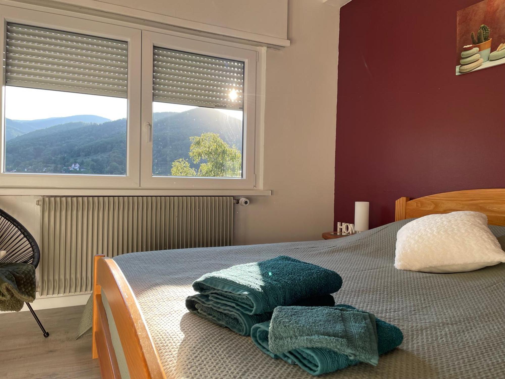 Ferienwohnung Au Reposoir - Vue Sur La Montagne Buhl Exterior foto